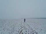 Photo competition 2024